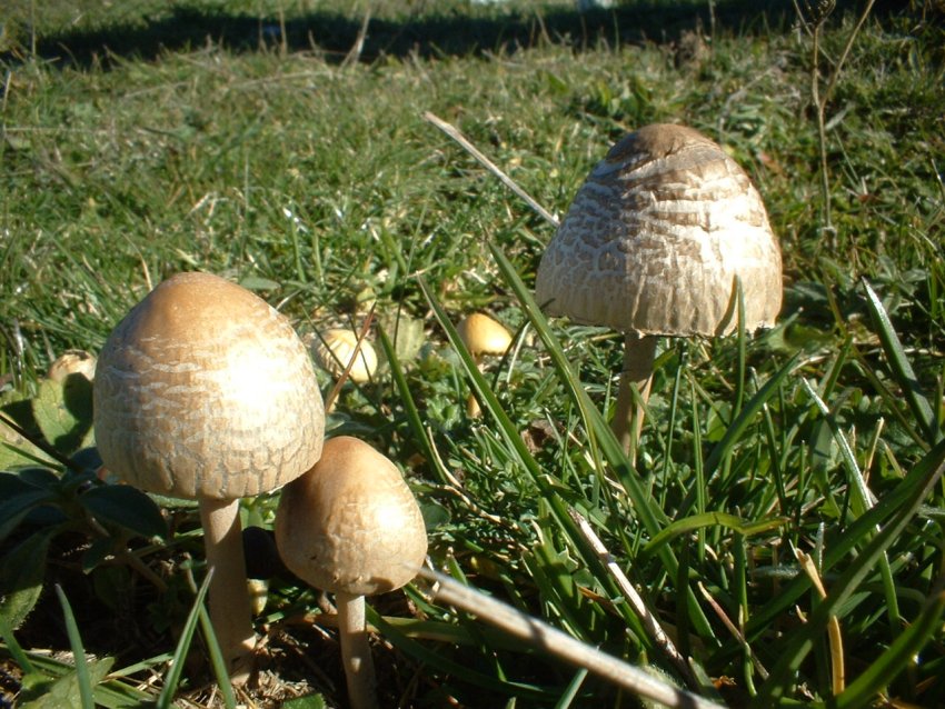 ultimi della stagione